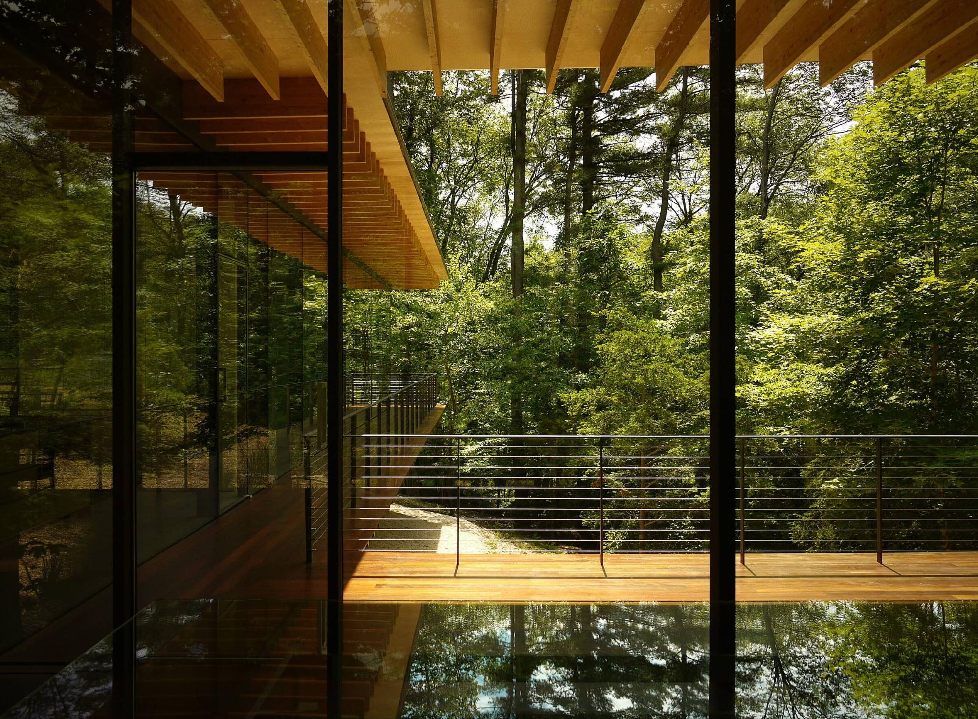 Дом из стекла и дерева